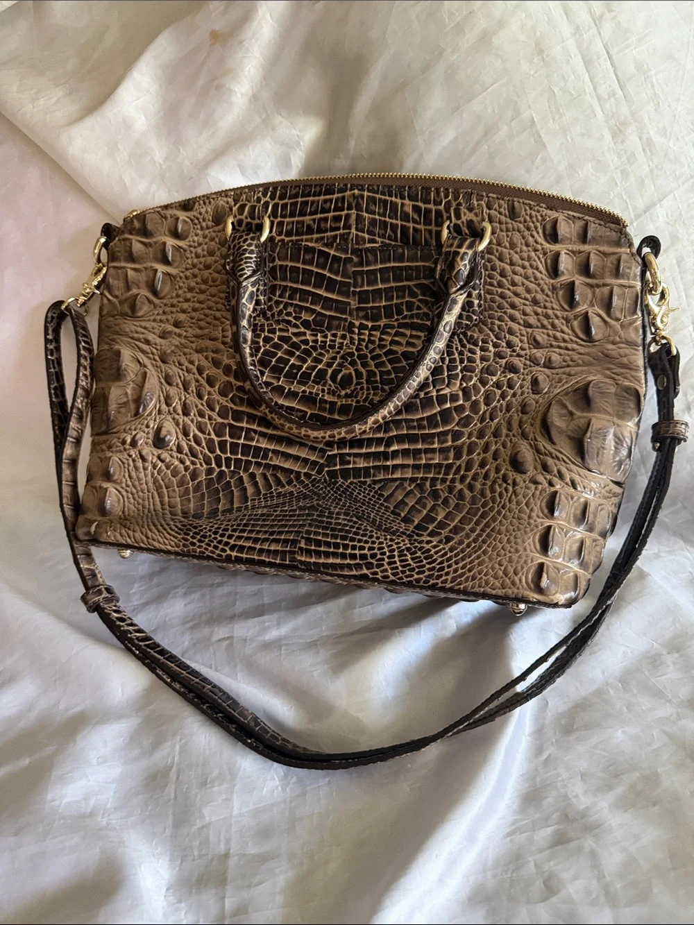 Brahmin approx 12